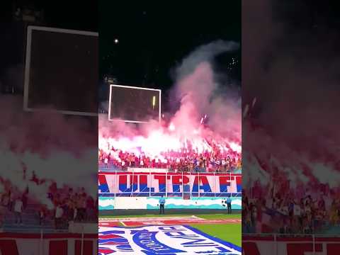"La Ultra Fiel de Honduras " Barra: La Ultra Fiel &bull; Club: Club Deportivo Olimpia