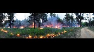 Every Fire is an Opportunity to Treat a Landscape