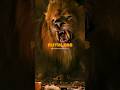 Attitude Lion King Ruthless Shorts Attitude Status Lionking