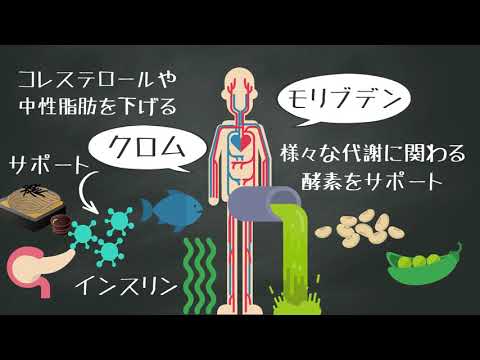 ミネラルのリストについて詳しく解説