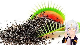 1,000 Moscas vs Venus Atrapamoscas | ChuyMine REACCIONA a TerraVerde Español