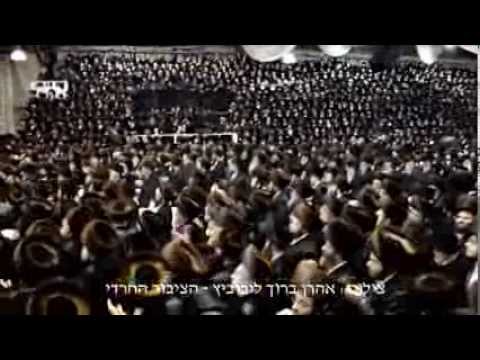 BOBOV WEDDING! "Highlights" Of Bobover Rebbe Shlita 48 Daughters Chasina