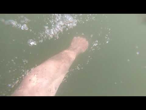 Java Street End Swim Sunday 2020-0614