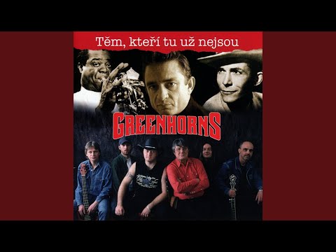 Vlak Půlnoční (feat. Petr Kocman)