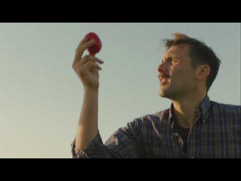 A Trip to Tomato Paradise - The Tomatoes Behind Sir Kensington's Ketchup