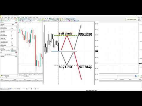 Forex tester quanto costa