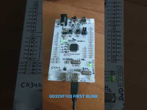 RISC-V: GD32VF103 FIRST BLINK