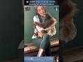 18 AMAZING Animal Clips You MUST See WILD ZOOM Animals Animalshorts Animalclips
