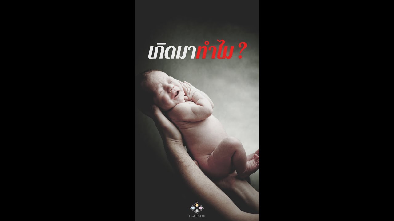 รูปภาพ ดาวโหลด Google Youtube SEO