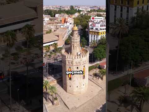 Tofaşların Karıştığı Kazaların Görselleri Birleştirildi: Neredeyse Hepsi Ortadan İkiye Bölünüyor