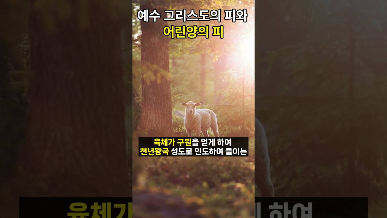 예수 그리스도의 피와 어린양의 피