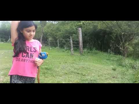 Cañada de Río Pinto, paseo por el campo.