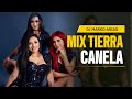 Mix Tierra Canela Exitos Joven Profesor LLamame Tonto Amor
