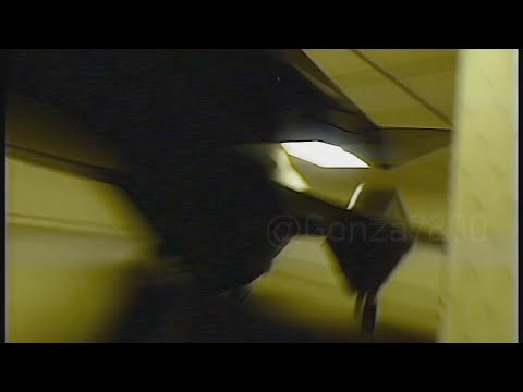 ADF-11F in the Backrooms (found footage)