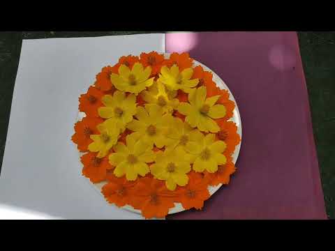 STOP MOTION VIDEO😍🐼FLOWER DESIGN🌸♥️
