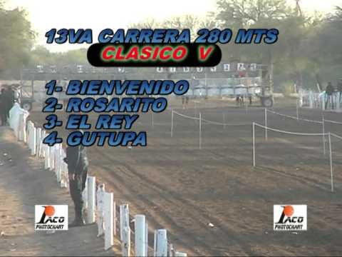 EL REY PANGARE 06 9 2015