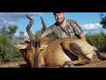 Western Cape Game Safaris