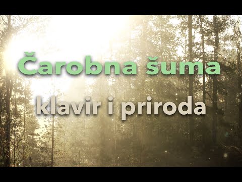 "Čarobna šuma" - priroda i klavir 💫 muzika za opuštanje i meditaciju