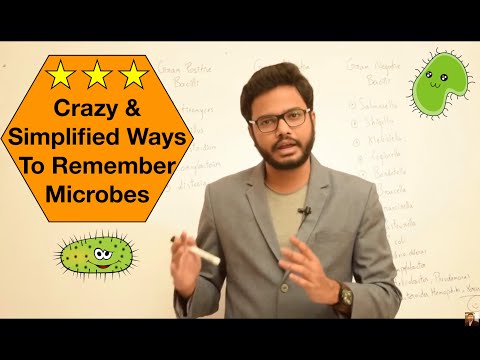 Mnemonics for Remembering Gram Positive & Gram Negative Microoganisms