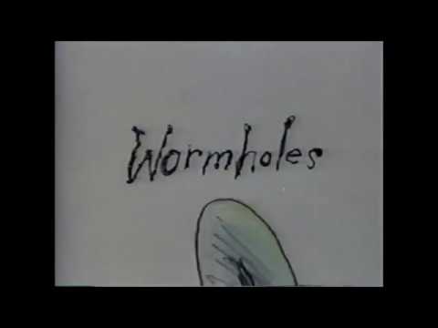 Wormholes