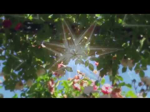 Blip Pilot - Coyote Blue (video)