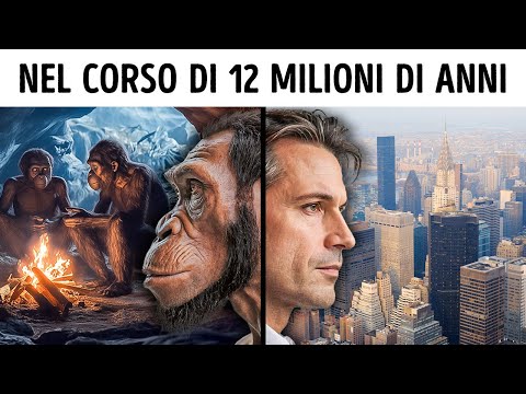 A 10-Minute Journey Through Earth's Human Evolution