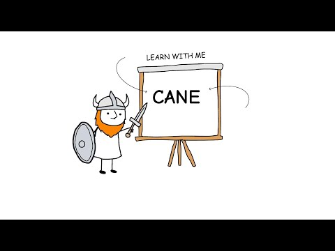 How to Pronounce cane | English Pronunciation Guide