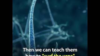 Why Anger Can Feel Like an Addiction – and How to Help Clients Break Free