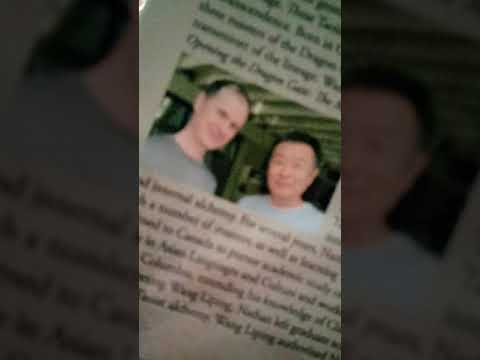 Taoist Alchemy Wang Liping Nathan Brine Vol 1 Yi is before Shen: Yi is faster than Shen spirit light