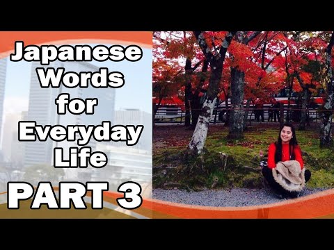 Japanese Words for Everyday Life - Basic Vocabulary #3