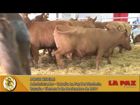 03-11-17 Nota Jorge Sedelli - Cabaña La Paz de Werthein - Batavia, San Luis