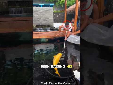 Rarest Goldfish Found 🐠💰