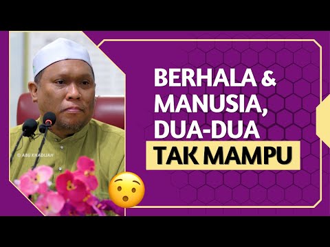 Bukti Kekuasaaan Allah Pada LALAT 