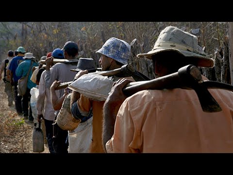 🎥 Documentário - Trabalho Escravo Contemporâneo