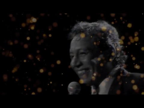 Diomedes Díaz - Si Te Vas Adiós  (Letra Oficial)