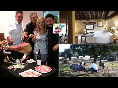 Discover where the magic of Iberico Ham starts: la "Dehesa" in Northern Spain's countryside