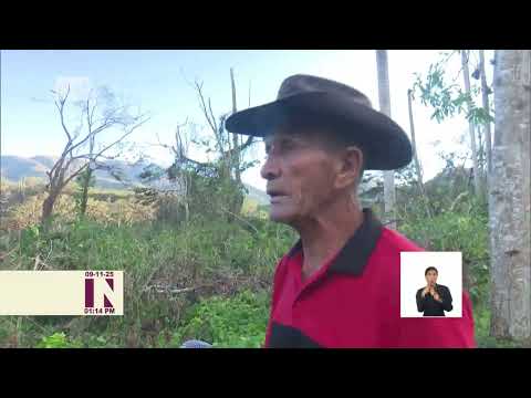 Afectaciones al sector cafetalero en Santiago de Cuba por Melissa