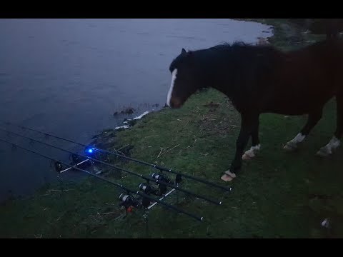 Welsh Piking - The Horse Whisperer & Sniper Granny!
