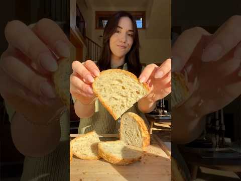No-Knead Italian Herbs and Cheese Bread