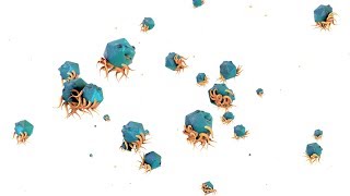 Rafter - The Things I’ve Learned From Reggae (7 of 7)