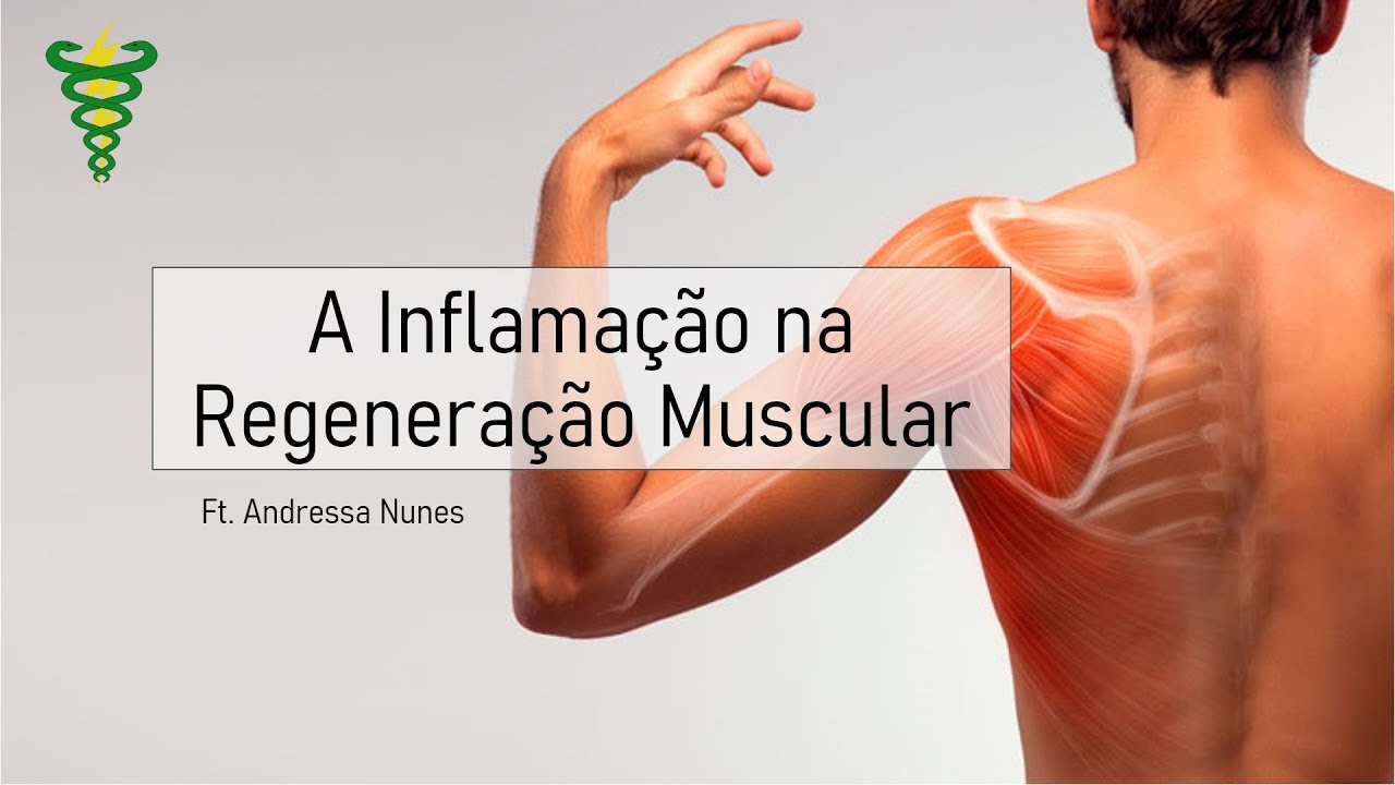 Regeneração Muscular e Inflamação