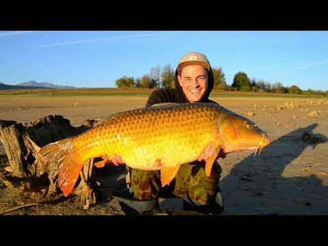 Living the wild dream vol. 3 - Jan Lintermanns