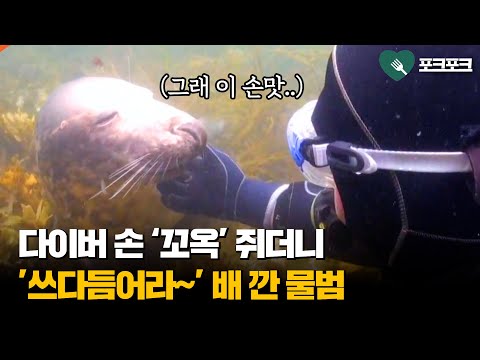 아이콘