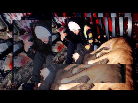 HALFDEAD - WHEN I FALL (prod. brokenstarr) [dir. goldfacemoneywatch]