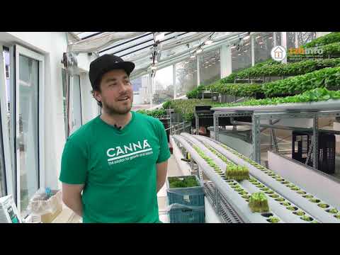 , title : 'Jak se hydroponicky pěstují saláty a zelenina říká Šimon Břeský'