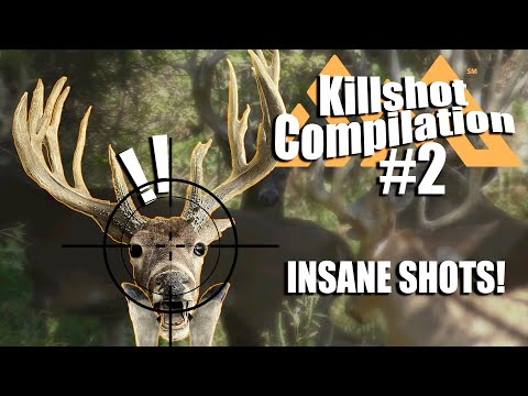 Killshot Compilation 2