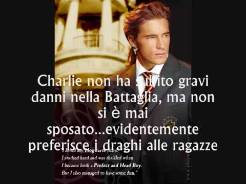 DOPO HOGWARTS cos'è successo in 19 anni