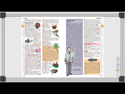 CE1: Le dictionnaire
