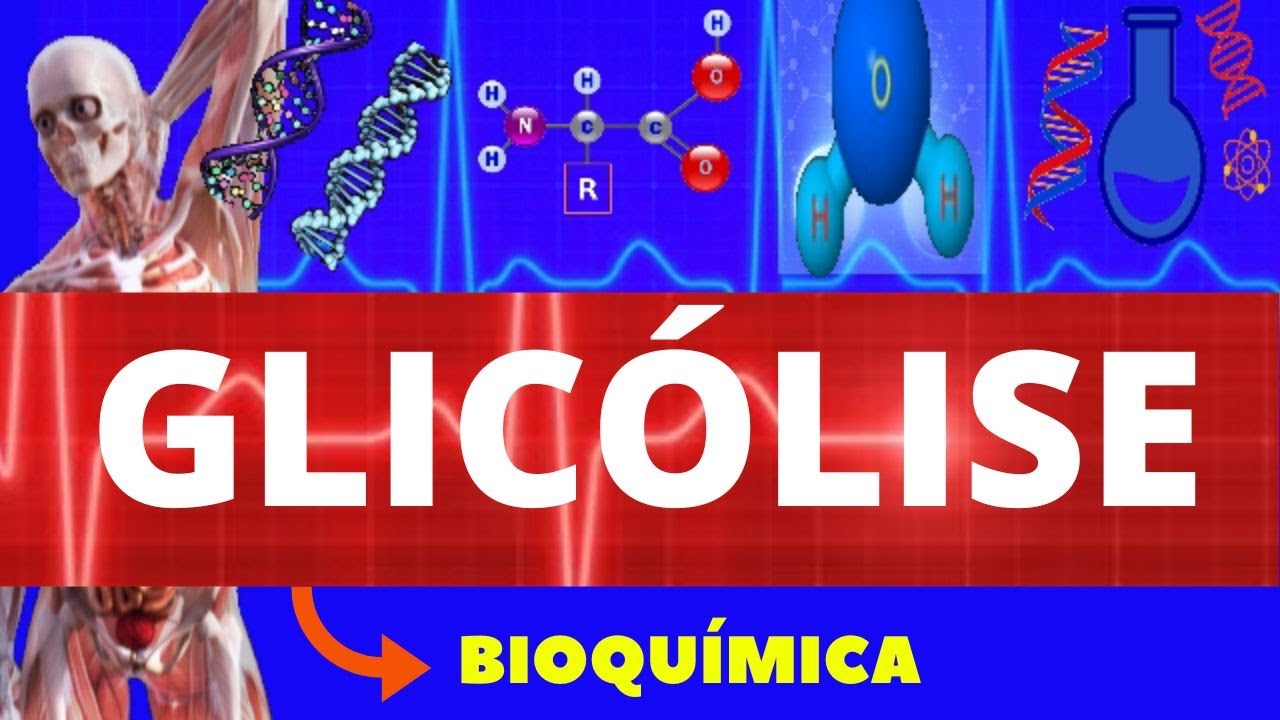 GLICÓLISE - BIOQUÍMICA (ENSINO SUPERIOR) - RESPIRAÇÃO CELULAR - VIA GLICOLÍTICA