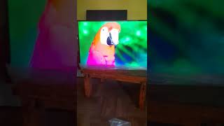 ¡¡¡No compres Smartv de marca SANSUI !!!